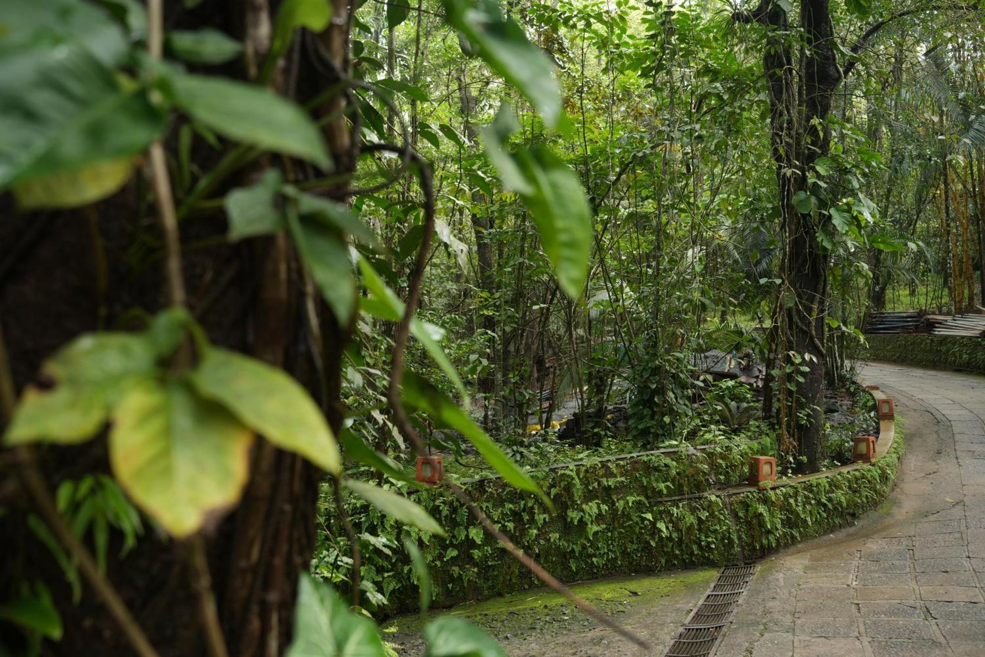 Wayanad Silverwoods Forest Resort & Spa Padinjarathara Exterior photo