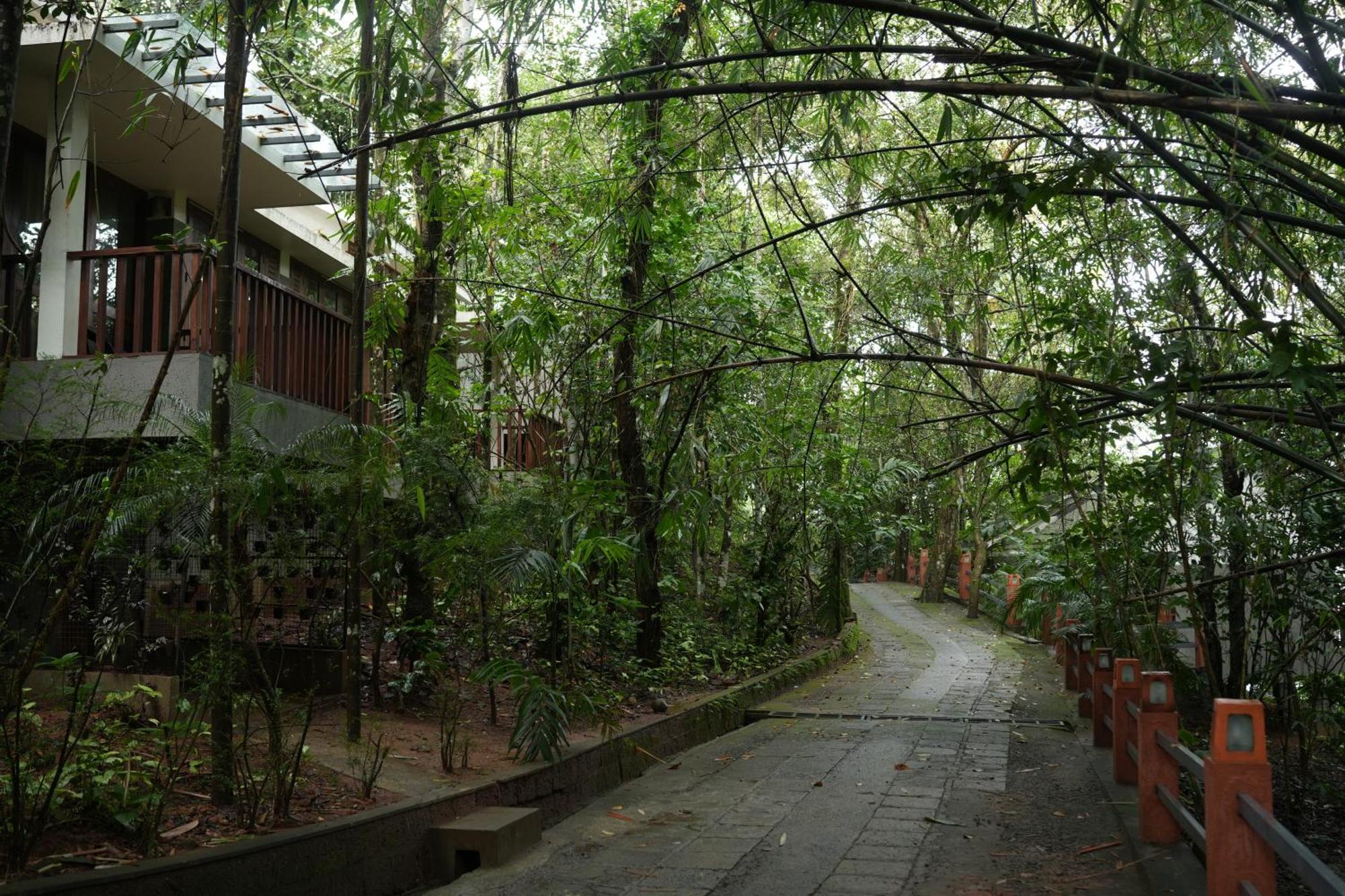 Wayanad Silverwoods Forest Resort & Spa Padinjarathara Exterior photo