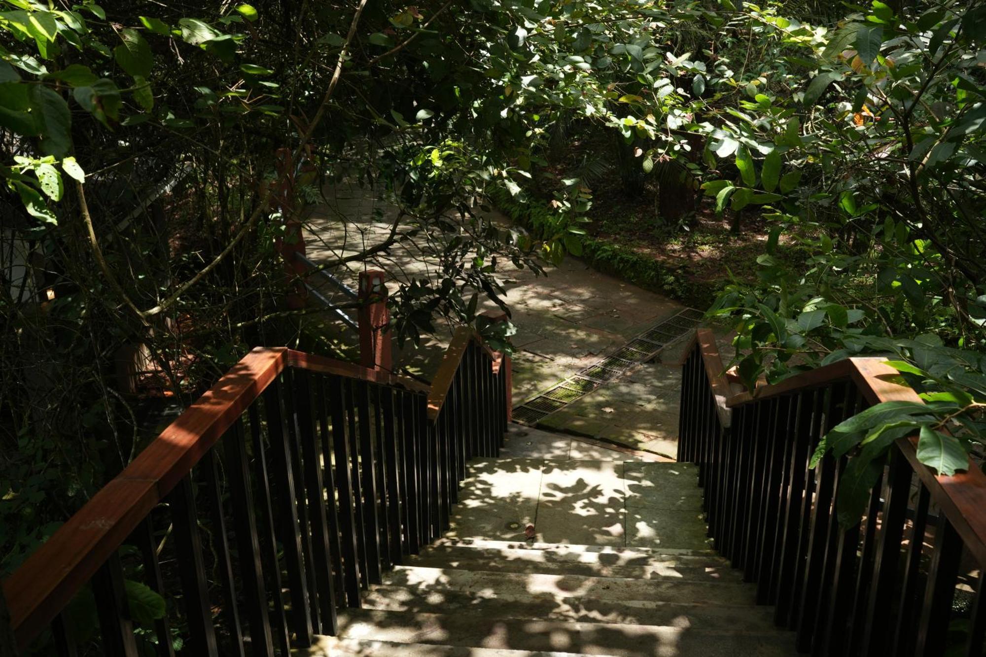 Wayanad Silverwoods Forest Resort & Spa Padinjarathara Exterior photo